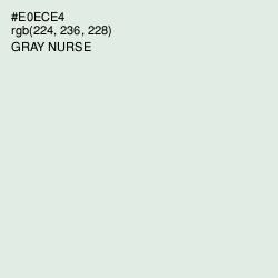 #E0ECE4 - Gray Nurse Color Image